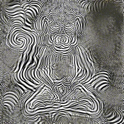 45672992005907757268985552392423342694169509694579076490924614690821812256769