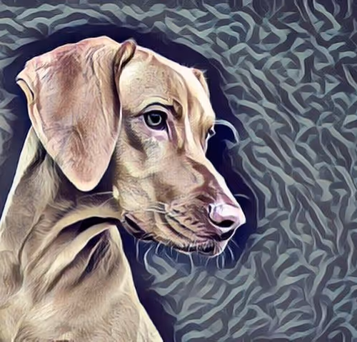 Animal Art V4