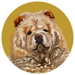 54766349128176429303044182404049584425310907481653304317570413851767495196673