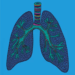 28824502245252267217549902857601847351510039266873569823091148345946853605377