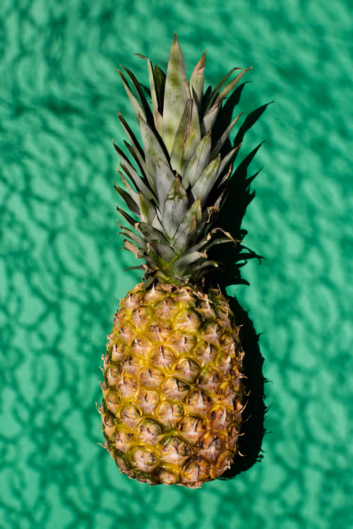 Item #49325895728947946958134237796623486396325756896845225434355085044815671328769 Media