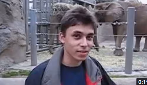 Metaguy15 Collection