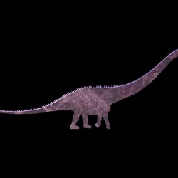 Hatchling #100