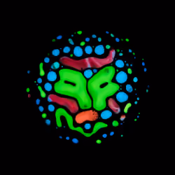 Haematopoiesis #81