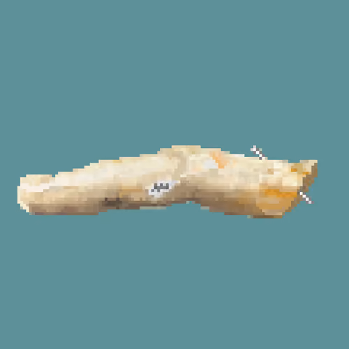 Finger of Jesus