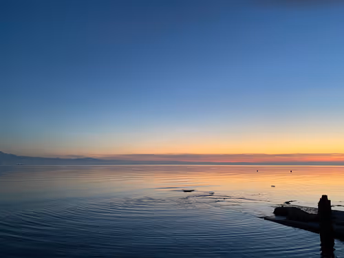 Item #82230664742410380029985225980173930657967222825059187272411913079756427362305 Media