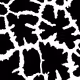 43969003265783643073399617182584010945054003237722696452996878673602330755073