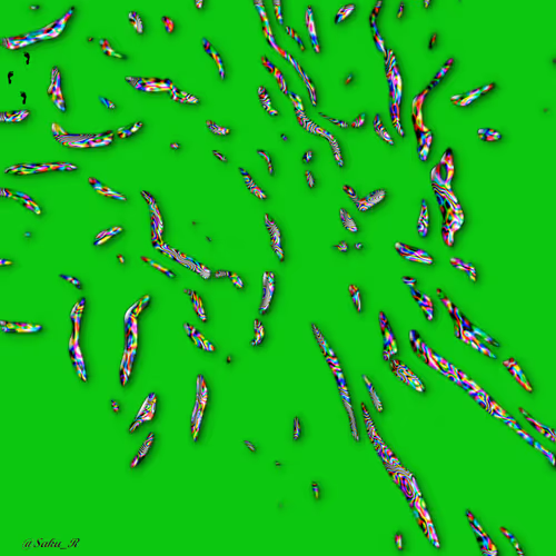 Item #52596772328572645396799225155179162658789326659101193362598998504225525202945 Media