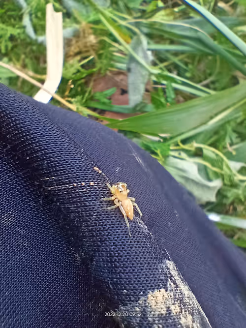 Item #97588253678271275097252661092485734826909579227738092093509096740302434074630 Media