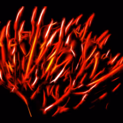 112000724350228495474711911108130364376243231564197861893917058022189826058