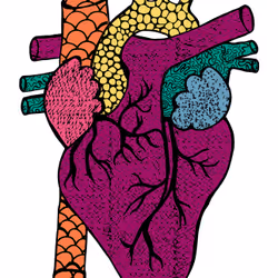 28824502245252267217549902857601847351510039266873569823091148164527435022337