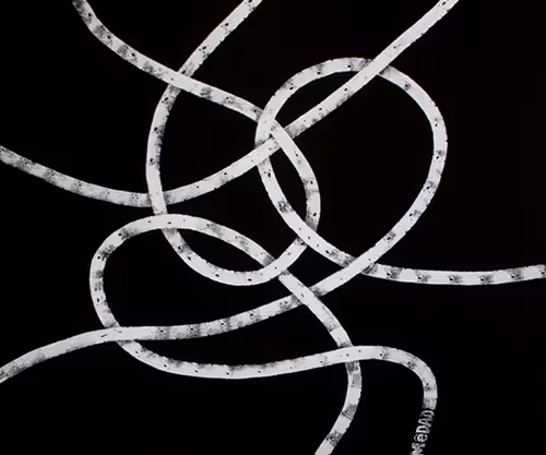 Item #19348387886638314608226308073204764497624528496557652038344455848180158824449 Media