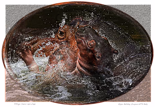 Item #6968899724388266606176016145545160509277227480062482001621938845893850562660 Media