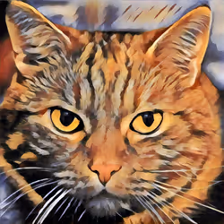 Cat Mone  #19