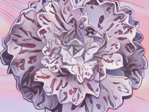 Item #8607677958191038044004830040679912821884152676576415147527512870534158221313 Media