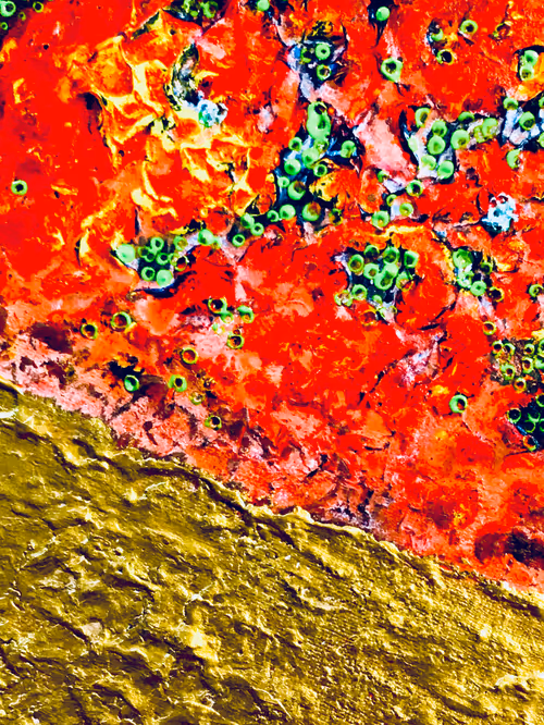 Item #11071991194666046124730794523060237623199268044781053194957188876063456886785 Media