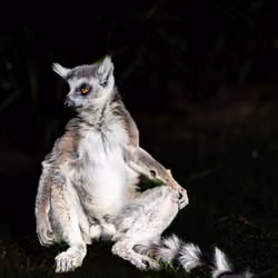 resting.... i know youre looking