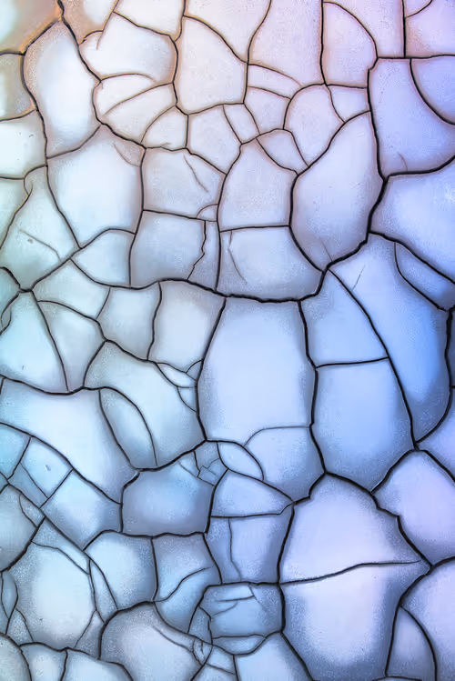 Item #39071023685345521589531013450918722216572370939070752972983331644325807259649 Media