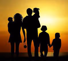 Untitled Collection #46136952