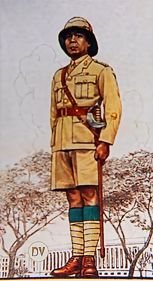 Item #38724113203364670127101612231347610903288392580403585451394279627221838594098 Media