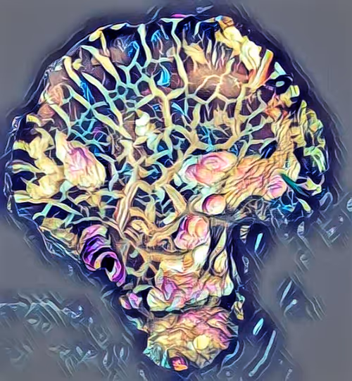 Item #80050559332347163335601971796963442430023304175303914027877321172551597031524 Media