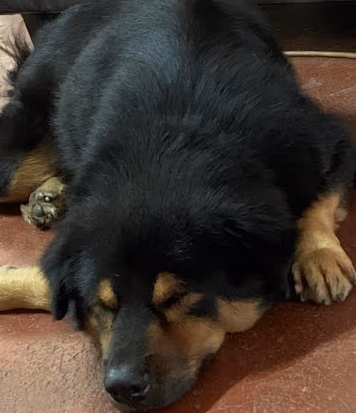 Item #56055091060271351536523847984853154360378800009370414984463609030582867066881 Media