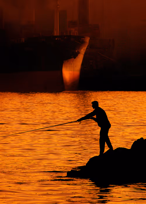 Item #96578766880217078611313821785465910127802058938618916549431102992027763081217 Media