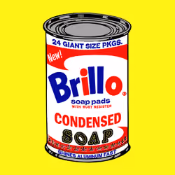 BRILLO SOUP