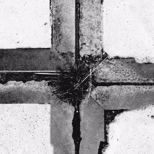 Item #20170974104460919884075796926510769767752494675108706552101667945601363345413 Media