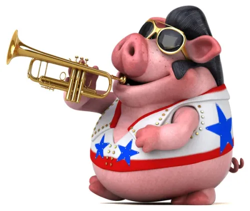 Item #62670295139168213678470007511008098204612410570373934352753128693371829747812 Media