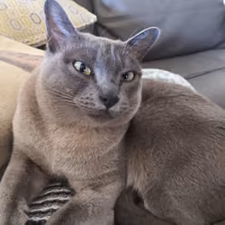 What are you looking at?