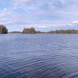 Water.