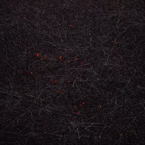 Item #111819353391232385355292732865064309059161123936801669989557009000911796699137 Media