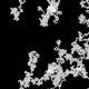 46443140435526123263349023868976142915031731050544552291035459358320356229121