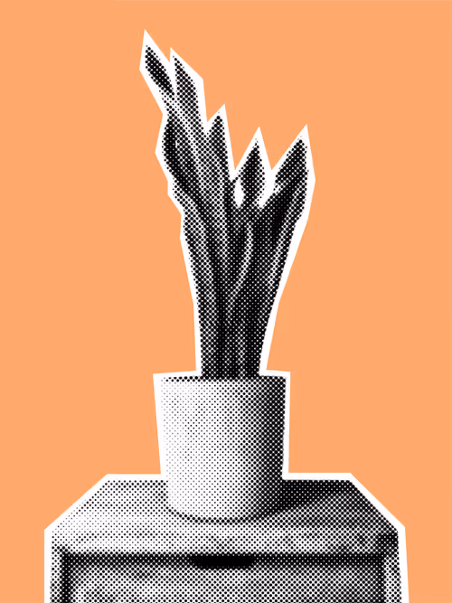 Item #25379124807980713745219244606437574046087384809022650852355167099426283978753 Media