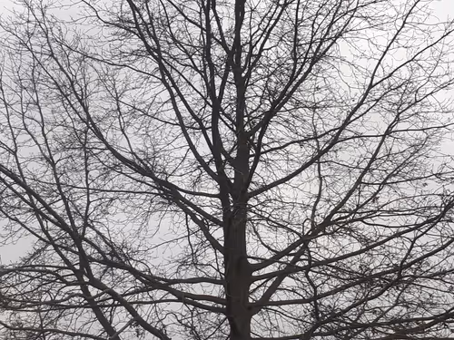 Item #13665938074563914331498291329920780757136253607588816979915017115584390234113 Media