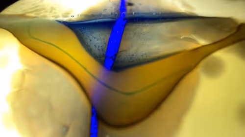 Item #101722242459461766671850244672997948412133570446471513908012687128610079768577 Media