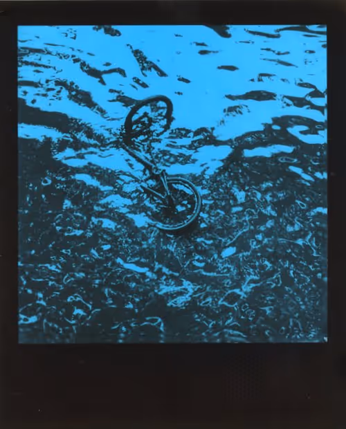 Item #103925043226850068411214111980778021596201122013188060205337914382903691706369 Media