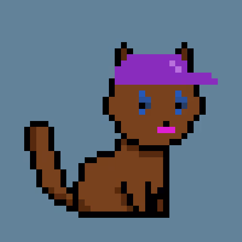 PunkCat #8807