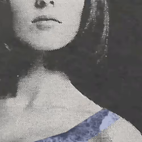 Kylemakesshortfilms Collection
