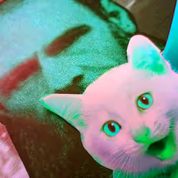 4747115153065902387790593868107453782499677024781155622119190060970171957249