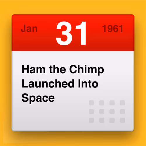 Item #99948237757145417481862033336755659015020359805900001013185297800187023982593 Media