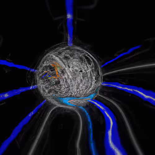 Neural By Machine