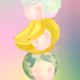 Mango Portrait Collection