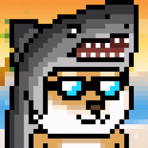 Shiba Aaron Collection