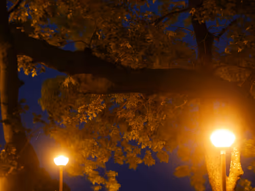 Item #50026192821252236501327529804501614579808517949817326421674249534221899005953 Media