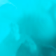 81681238387286729483801869997995815780130355154698035192897705235165179019265