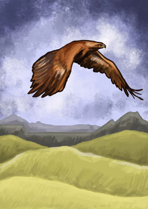 Item #7256243056531702104159472949877510288821453717884123468615994716183053991937 Media