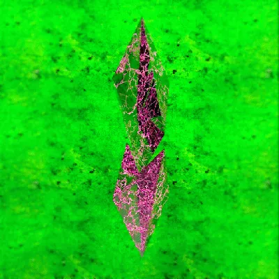 Item #76896531291442943334974629844510447756851151435301215683733002324784239869953 Media