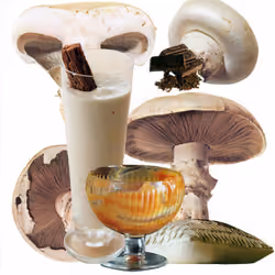 swiss alpine mushroom collection collage #13 "psalliotta edulis"